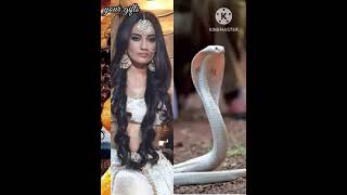 nagin dance with me