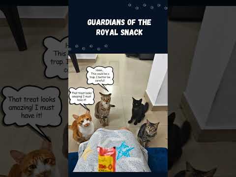 Hilarious Cat Comic Conversation 🐱😂