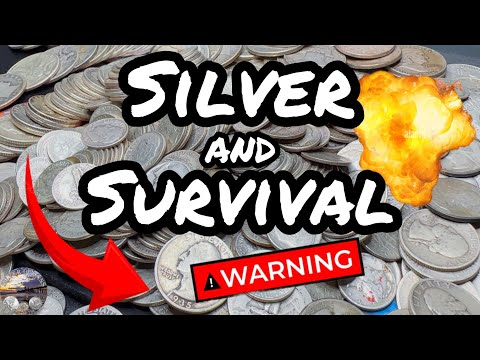 Best Silver for Preppers! What You Need to Survive Economic Collapse