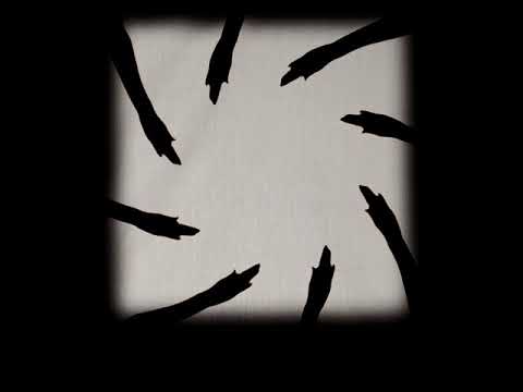 Phoebe Bridgers -  I See You (Lyric Video)