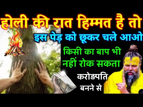 होली की रात हिम्मत है तो इस पेड़ को छूकर चले आओ रातों रात बदल आएगी किस्मत | Best motivational video