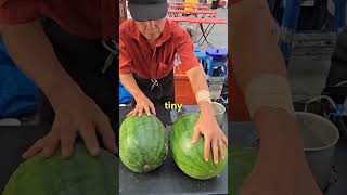 What_s Your Perfect Example Of _Play Stupid Games Win Stupid Prizes__