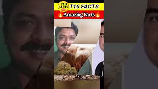 🔥Top 3 Amazing Facts🔥 | Interesting Facts in Telugu | T10 Facts #shorts #telugufacts #vrfacts