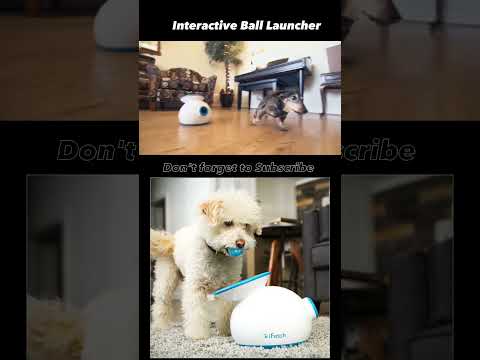 Gadgets for Pets #pets | Buy Now