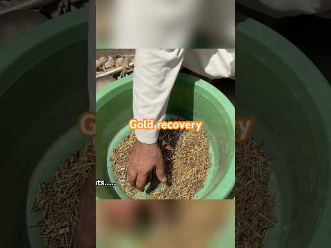 Gold recovery full video in profile #goldextraction #goldenretriever