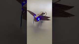 Dragon fly bot | Helicopter fly bot | Mini bug bot | Mini robo #shorts