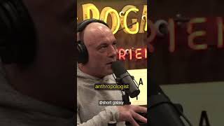 Gigantopithecus ape | joe rogan #podcast #shorts