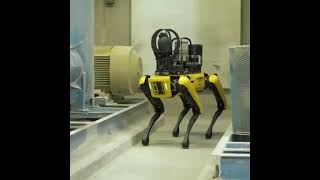 Cement with AI and Robotics team