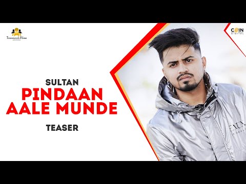 Pindaan Aale Munde : Sultan (Teaser) Anky | Latest Punjabi Songs 2018 | Team Work Filmz