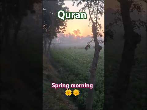 Quran 🤲#viralvlog #shorts  #spring