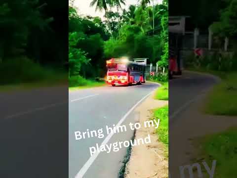 Bring him heree🤣❤️ #automobile #love #touristbus #bus #srilanka #travel #apaboy  #touristattractions