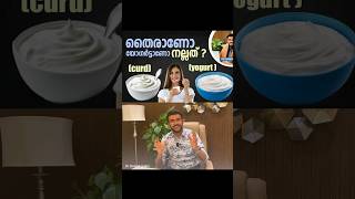 തൈരും യോ​ഗർട്ടും തമ്മിൽ എന്താണ് വ്യത്യാസം? | What is the difference between curd & yogurt?