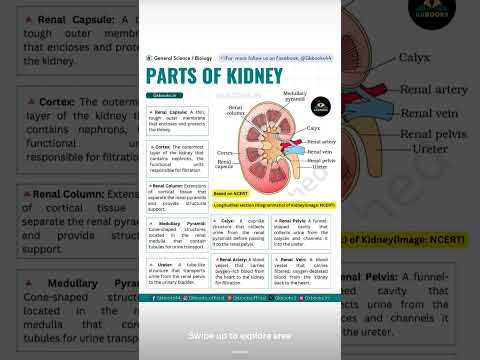 #medicalterms #medicaleducation #kidneyhealth #subscribemychannel