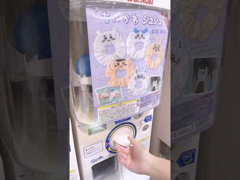 ちいかわ　Chiikawa Gacha Capsule Toyどうちらちいかわ? ♥  #chiikawa #cute #kawaii #かわいい　#hairband #shorts #anime