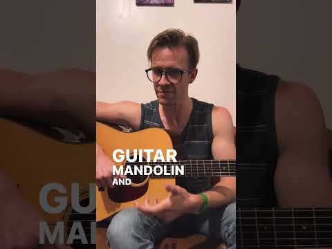 Behind the Song “Little Bird”
