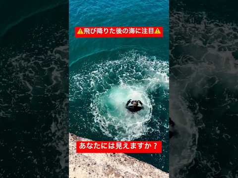 ⚠️閲覧注意⚠️#海 #ダイビング #バディ #ドッキリ #いたずら #ダイバー #diving #シュノーケル　#深海 #海の中 #夏 #shorts