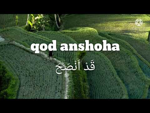 qod anshoha