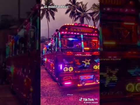 එයාගේ program ටික නම් පිස්සුවක් 😍😍🤩 #bus #viralshort #trending