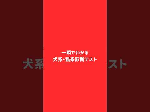 犬系🐶猫系🐈診断テスト　あなたはどっち？　　#恋愛相談 #恋愛 #恋愛心理学 #恋愛の悩み #彼氏 #彼女 #カップル #犬系彼氏