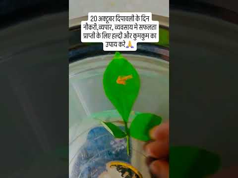 20 अक्टूबर दिपावलीके दिन नौकरी,व्यपार मे सफलता प्राप्ती के लिए करे उपाय #upay #hindufestival #दिवाली