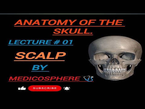 LECTURE # 01:SCALP BY MEDICOSPHERE 🩺 / ANATOMY OF THE SKULL. #scalp #anatomy#skull #medicosphere #3d