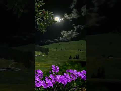 nature July 15, 2025