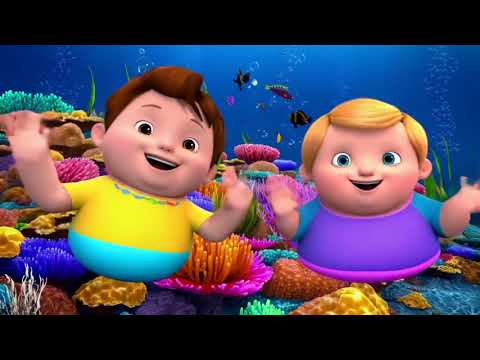 Sea Animals Song