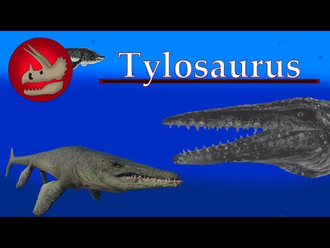 Tylosaurus | The Sea Monster of the American West | Dino Basics