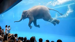 Khao Kheow Open Zoo, Thailand's Largest Animal Park | Full Tour (4K Video)