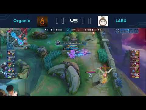 Requiem Vs SaO Enjoiyers , Organic Vs LABU , Aggressive buddies Vs one piece
