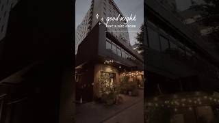 Good night #japan #shorts #fyp #foryou #foryoupage #shortsfeed #happyminds