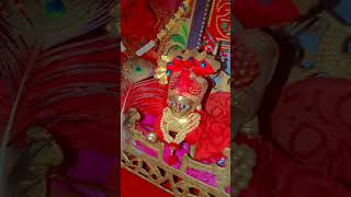 #shyambhajan #shyamutsav #jaishreeshyam #radhakrishna #radheradhe #kanahiyamittle