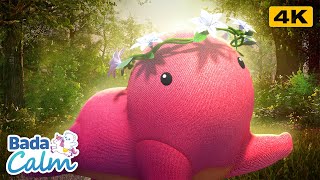 [4K] Sleep Meditation for Kids | Magic Dreams | Badanamu Calm