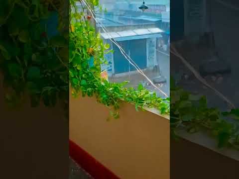 Monsoon😍😍 #youtube #shorts #rainyseason #love #romantic #status #like #foryou #monsoon