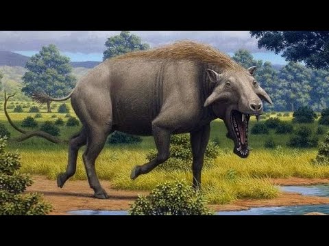 Entelodont Sounds