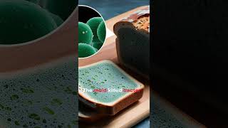 Ancient Egypt Bread Treatment.#egyptianhistory #ancientscience #facts