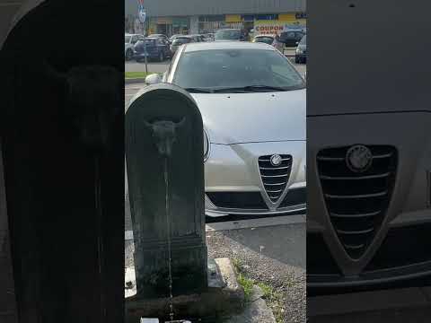 Juventus Borussia Dortmund maç atmosferi 5