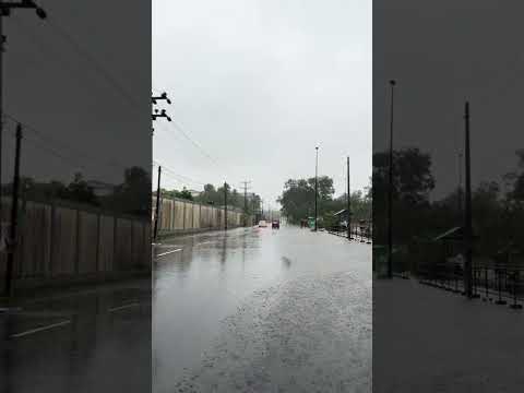 ජා එල මේ වන විට🥶😥#jaela