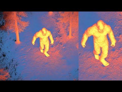 BIGFOOT CAUGHT On Thermal Camera - Leaked Footage