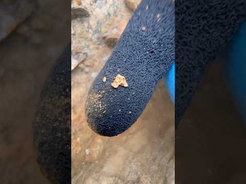Slightly longer video than usual but worth the watch 😊 - 3 nuggets #goldpanning #goldprospecting