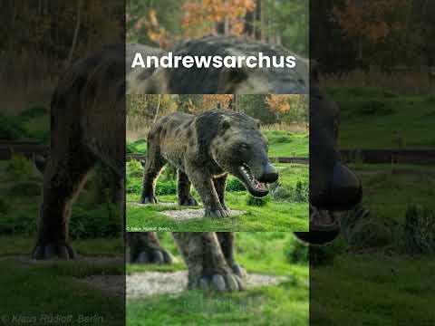 Andrewsarchus