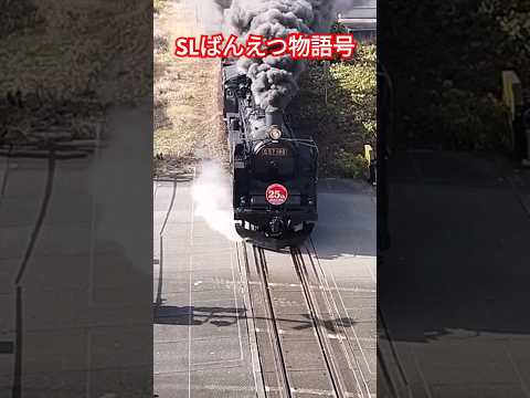 SLばんえつ物語号を上から撮影#c57 #c57180 #ばんえつ物語号#SLばんえつ物語号#磐越西線 #鉄道 #train #汽笛 #機関車 #shorts