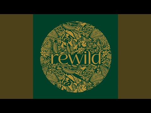 Mehendi (feat. Bhanwari Devi)