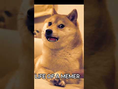 LIFE OF A FUNNY GUY || SAD MEMER || #memes #sadmemes , LIFE OF A MEMER