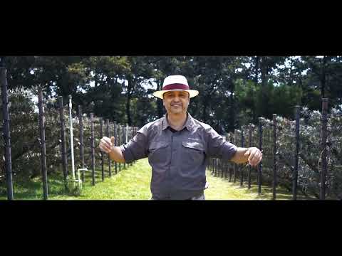TillCorp San Juan Sacatepequez