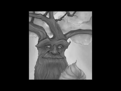 The Tree Who Walked Through Time ~ A Tree Identification Story