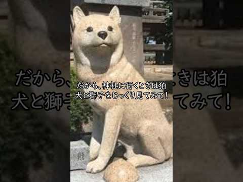 え、マジで違うの！？神社の狛犬と獅子の見分け方【意外な事実】#神社