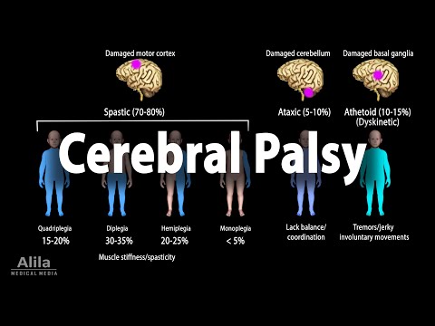 Cerebral Palsy, Animation