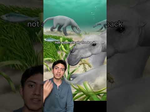 The Giant Underwater Sloths #prehistoric #animals #nature #wildlife #sloth