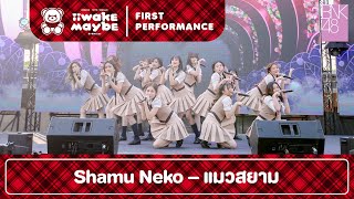 「Shamu Neko – แมวสยาม」from BNK48 13th SINGLE "Iiwake Maybe" FIRST PERFORMANCE / BNK48